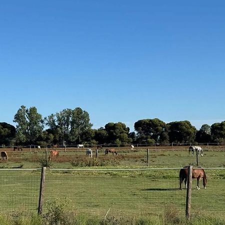 Lazy River Motor Inn Swan Hill Eksteriør bilde