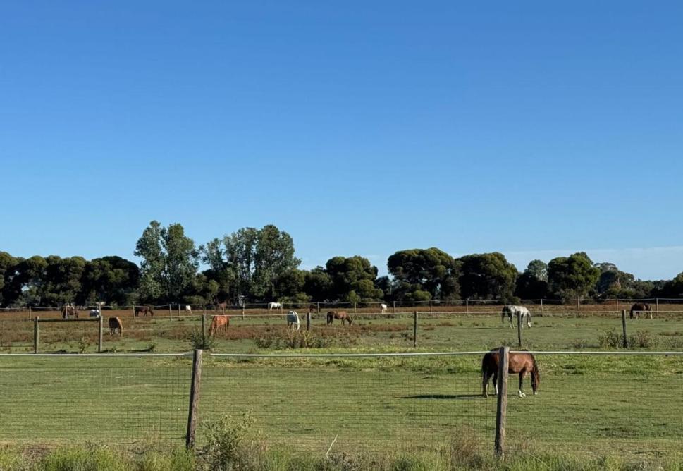 Lazy River Motor Inn Swan Hill Eksteriør bilde
